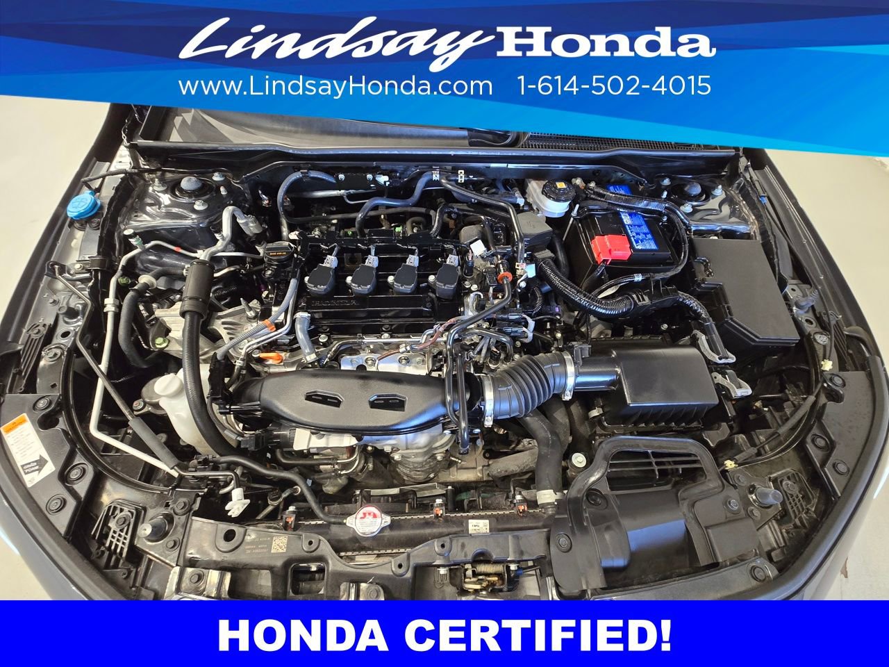 Certified 2024 Honda Civic Touring image 25