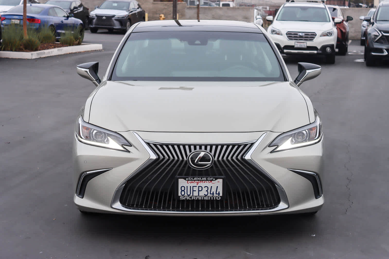 Used 2021 Lexus ES 350 w/ Premium Package image 6