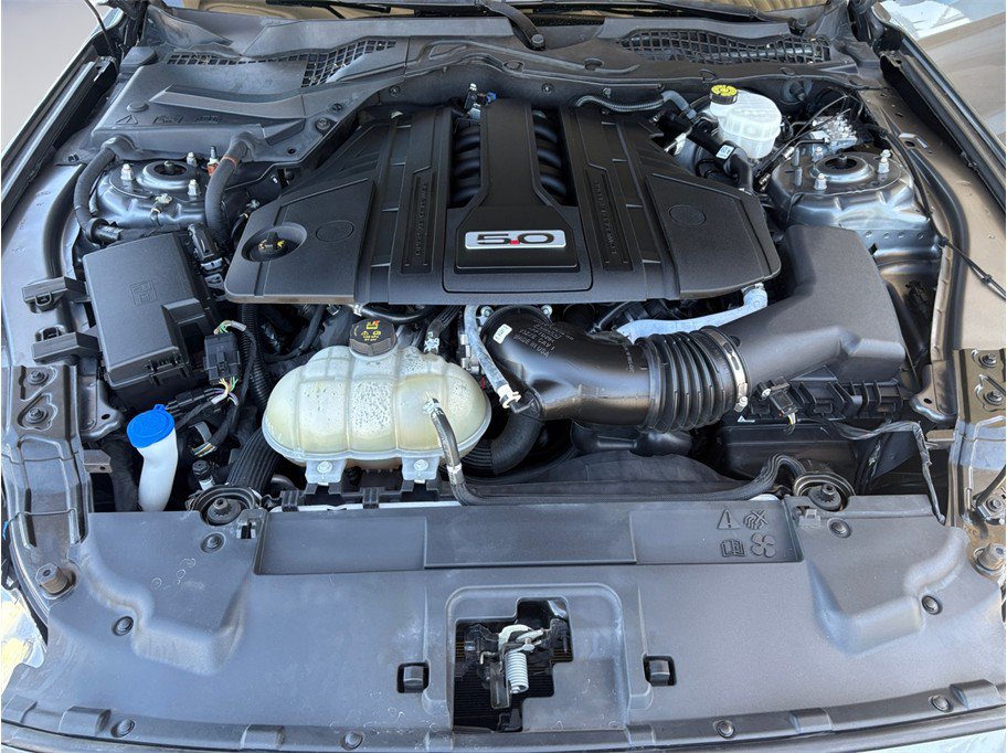 Used 2023 Ford Mustang GT w/ Equipment Group 301A RWD image 8