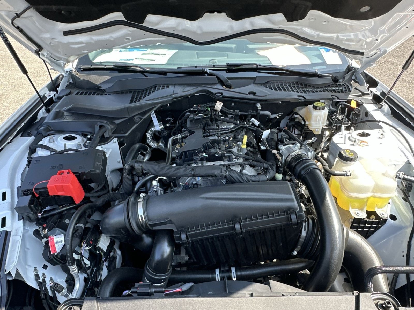 New 2026 Ford Mustang Coupe RWD image 28