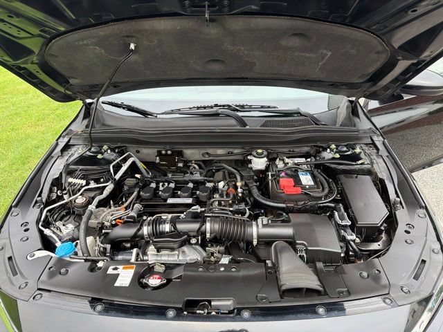 Used 2019 Honda Accord EX-L image 25