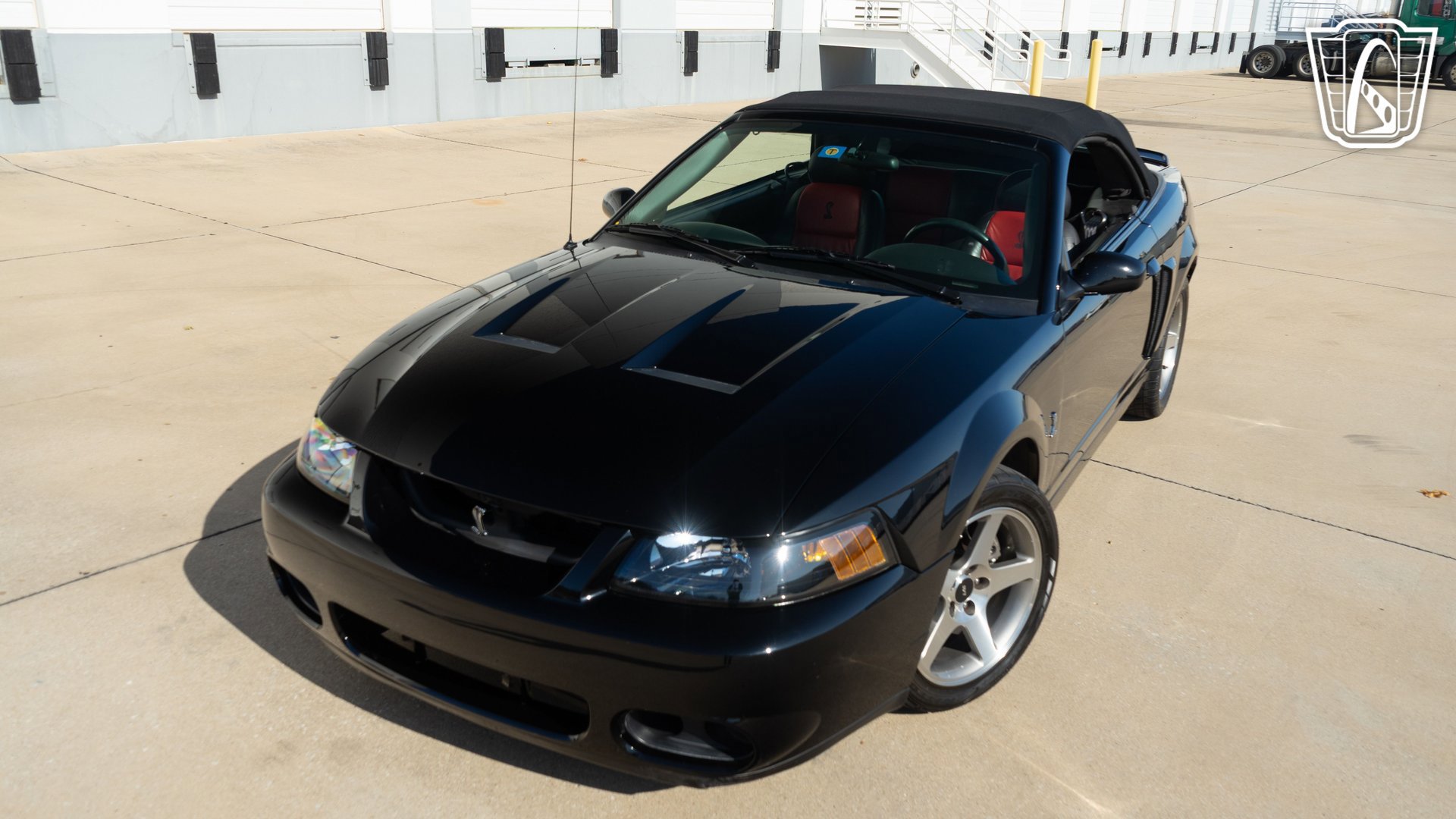 Used 2003 Ford Mustang Cobra image 2