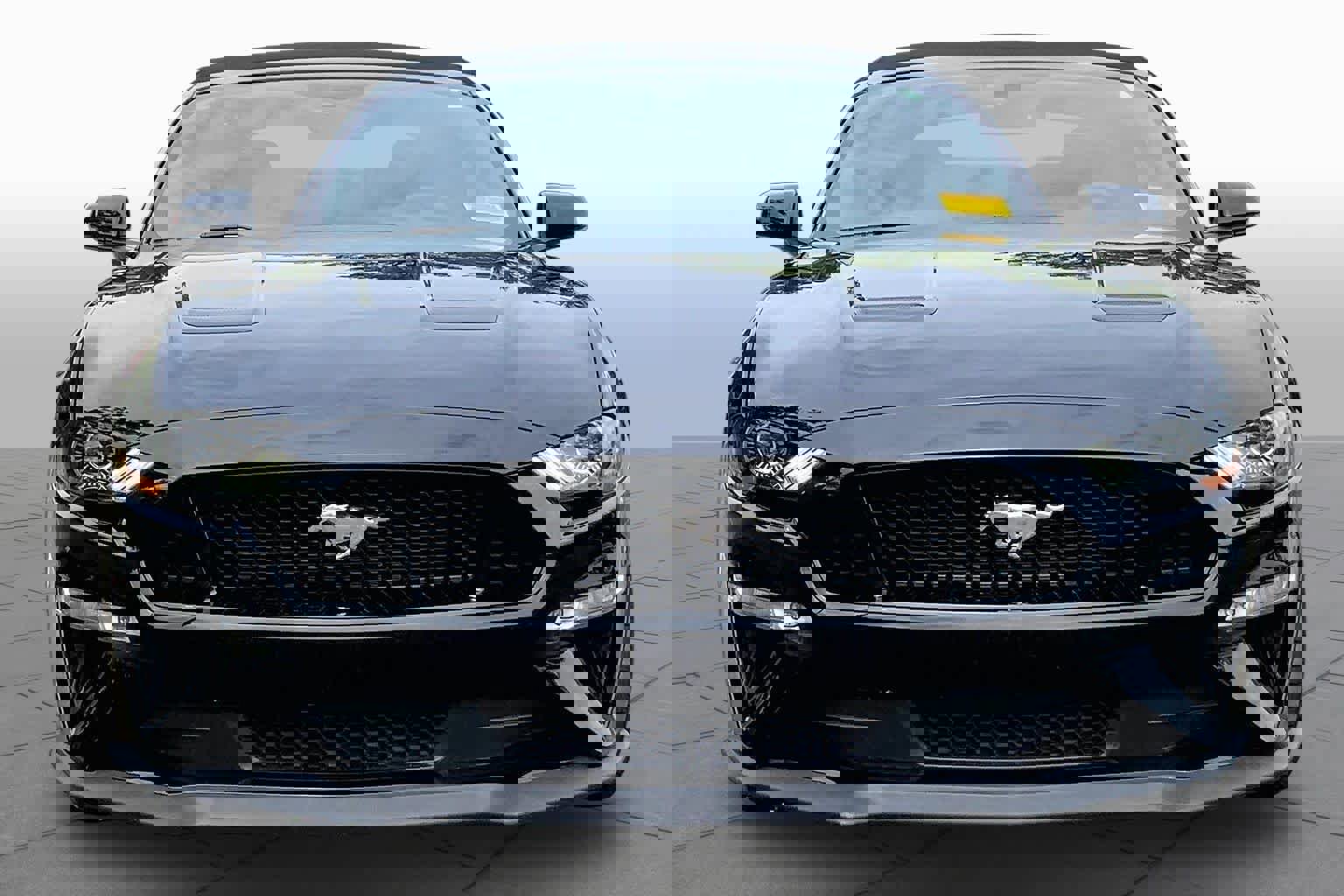 Used 2019 Ford Mustang GT Premium w/ GT Performance Package RWD image 4