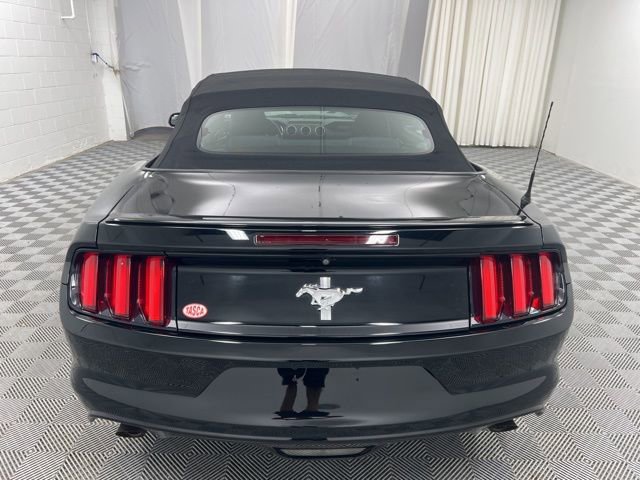 Used 2016 Ford Mustang Convertible w/ Equipment Group 051A image 7