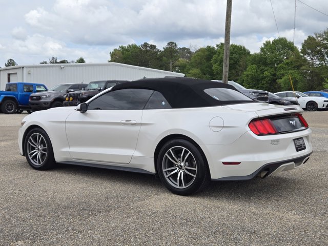 Used 2017 Ford Mustang Premium w/ Equipment Group 201A RWD image 10