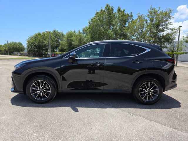 Used 2024 Lexus NX 350h AWD image 6