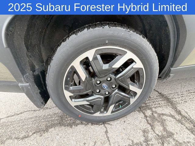 Used 2025 Subaru Forester Limited w/ Protection Package (1PH) AWD/4WD image 19