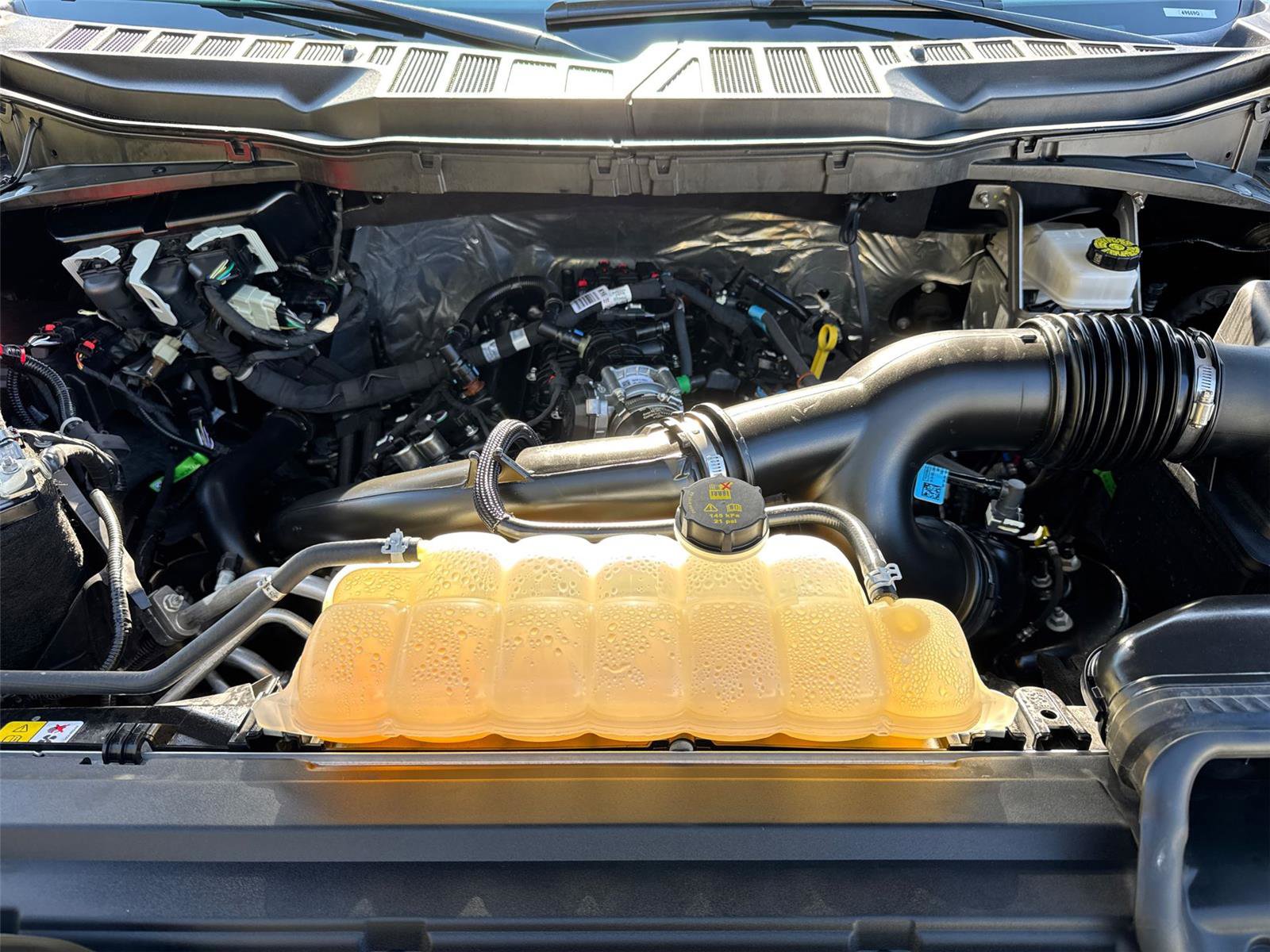 Used 2025 Ford F150 XLT w/ Equipment Group 301A Standard image 10