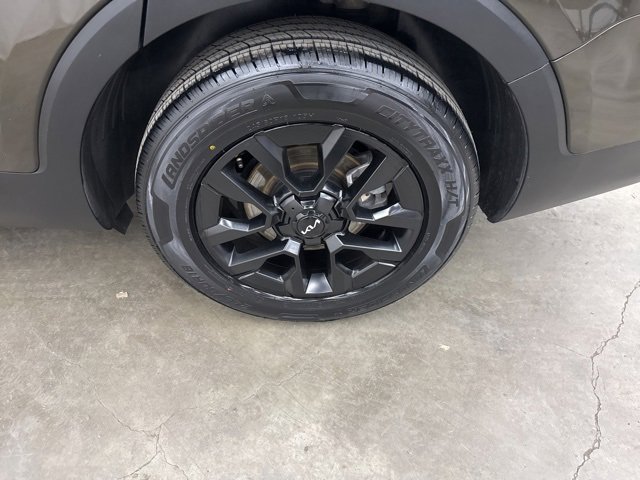 Used 2023 Kia Telluride SX Prestige X-Pro image 23