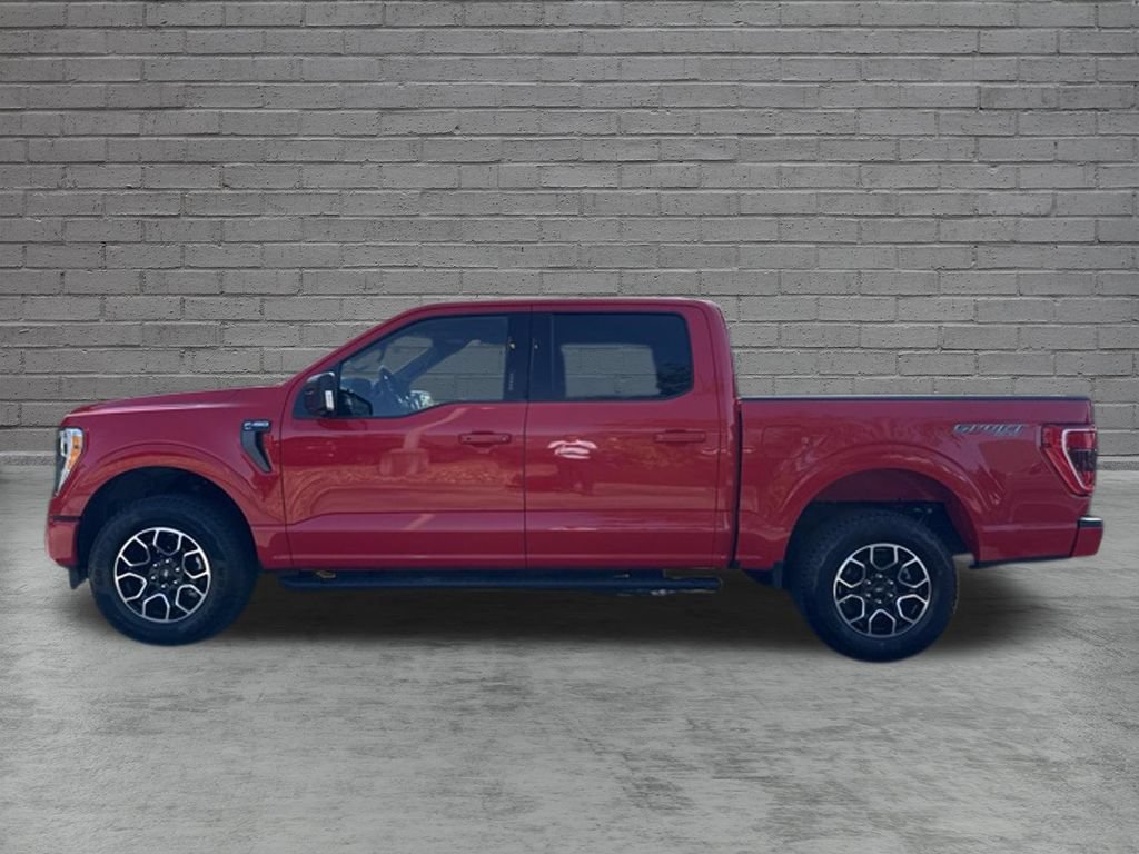 Used 2023 Ford F150 XLT w/ Equipment Group 302A High AWD/4WD image 4