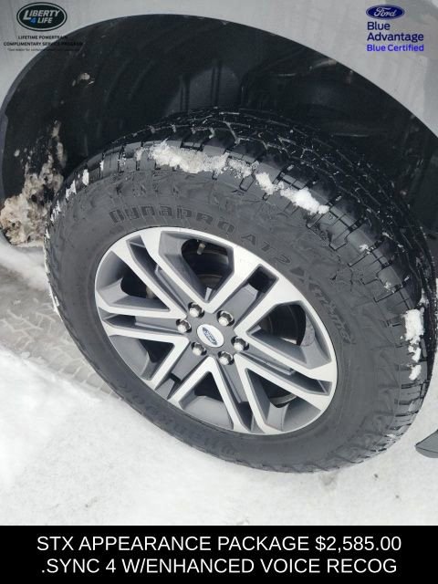 Certified 2023 Ford F150 XL w/ STX Appearance Package image 4