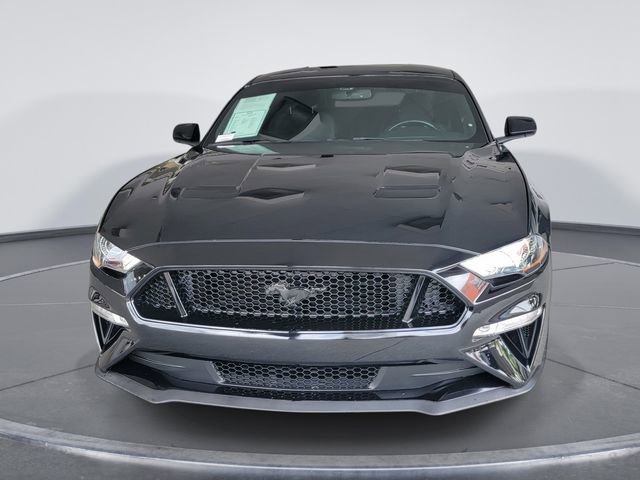 Used 2019 Ford Mustang GT w/ Equipment Group 301A RWD image 3