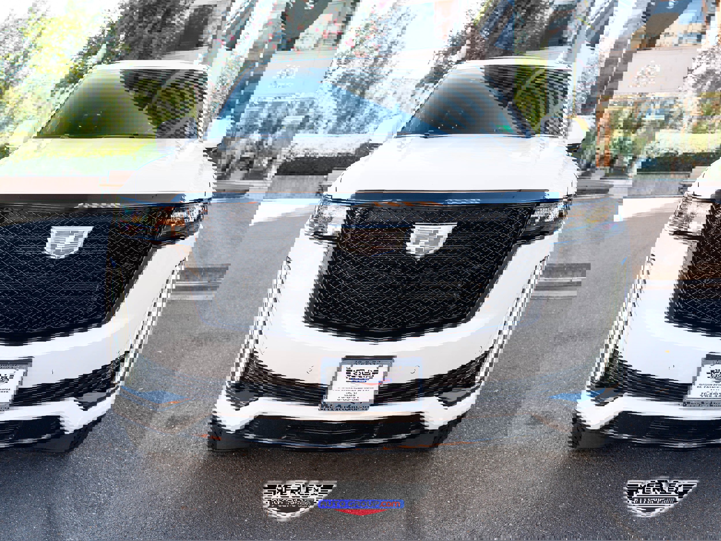 Used 2023 Cadillac Escalade Sport Platinum image 2