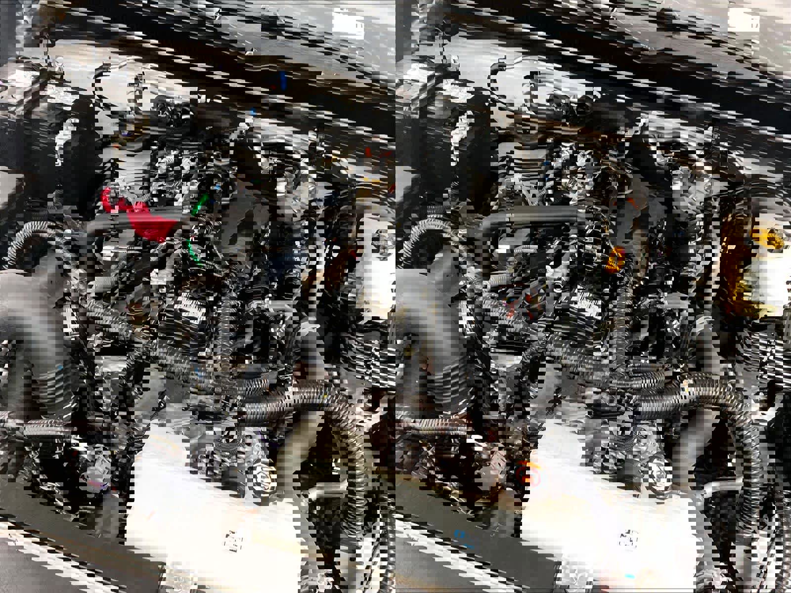 Used 2024 Toyota Tacoma TRD Off-Road w/ TRD Off Road Upgrade Package image 36