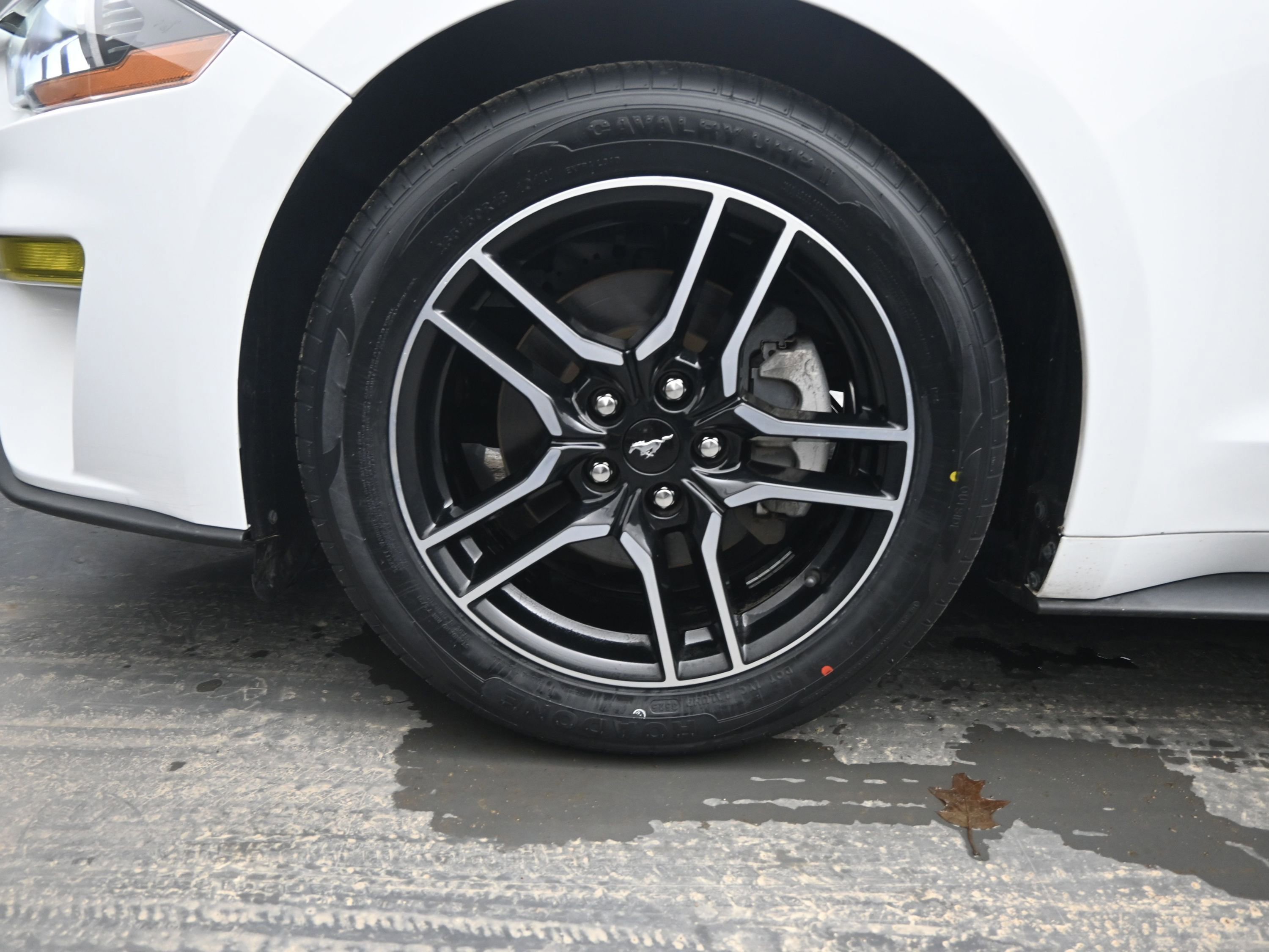 Used 2020 Ford Mustang Premium image 9