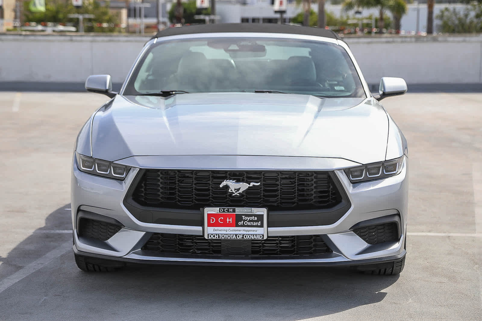 Used 2024 Ford Mustang Premium image 3