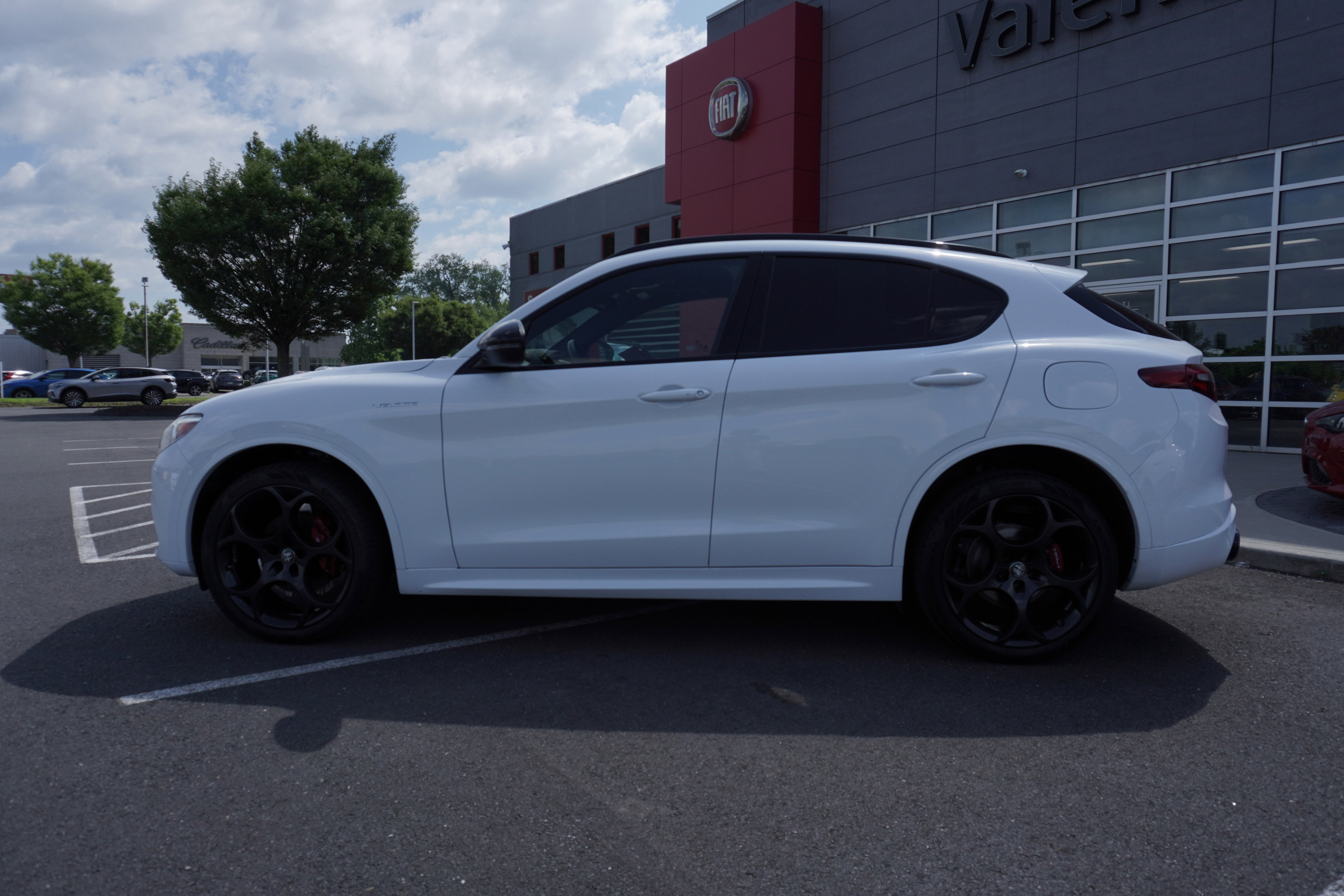 Used 2023 Alfa Romeo Stelvio Veloce image 6