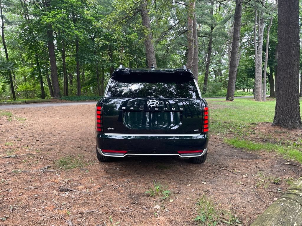 New 2026 Hyundai Palisade Calligraphy AWD/4WD image 3