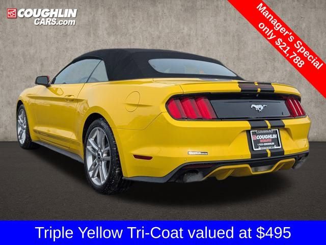 Used 2017 Ford Mustang Premium w/ Equipment Group 201A image 6