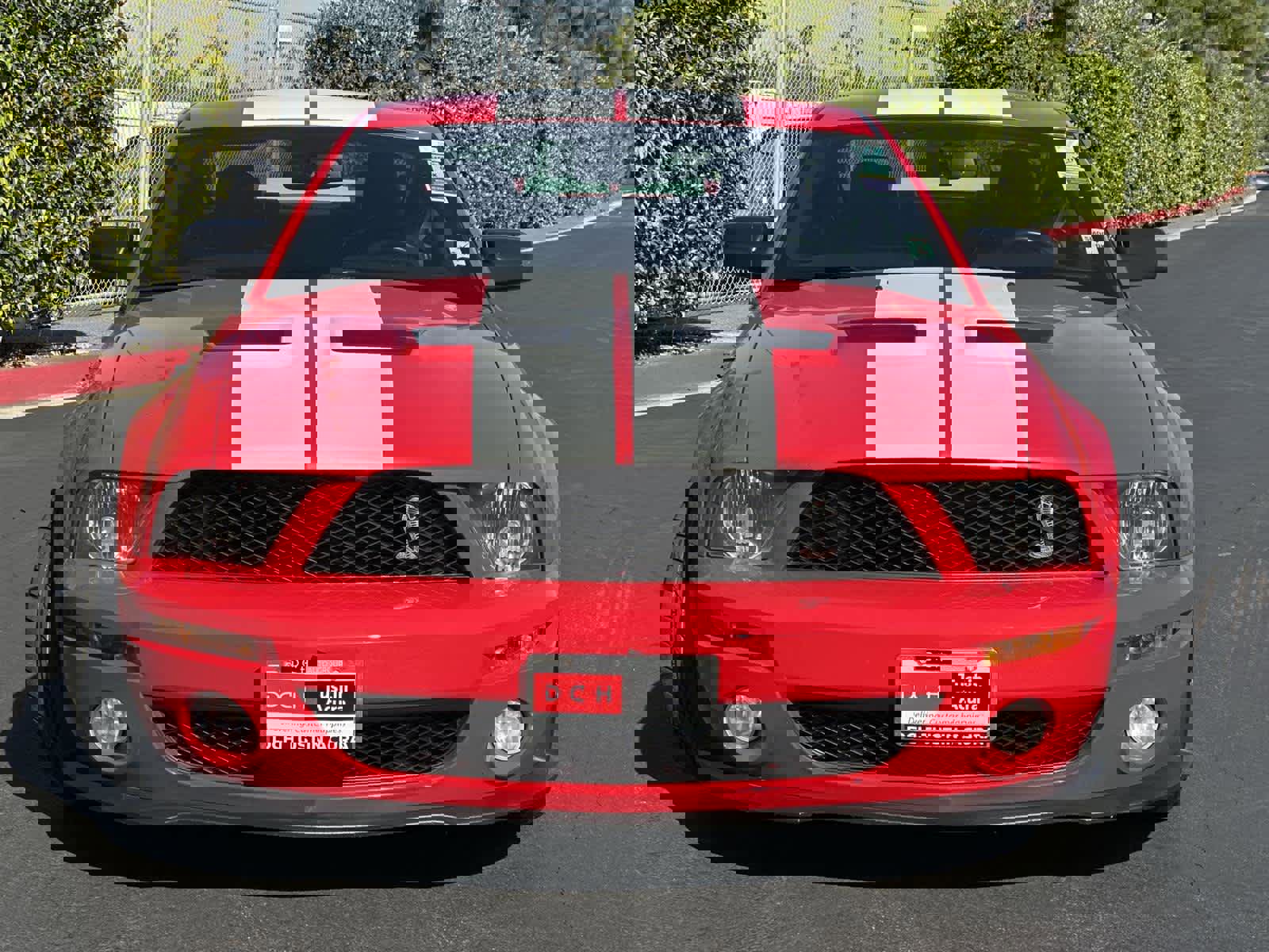 Used 2008 Ford Mustang Shelby GT500 image 6