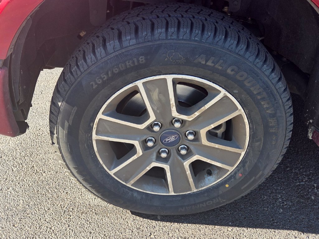 Used 2015 Ford F150 XLT w/ Equipment Group 302A Luxury RWD image 5