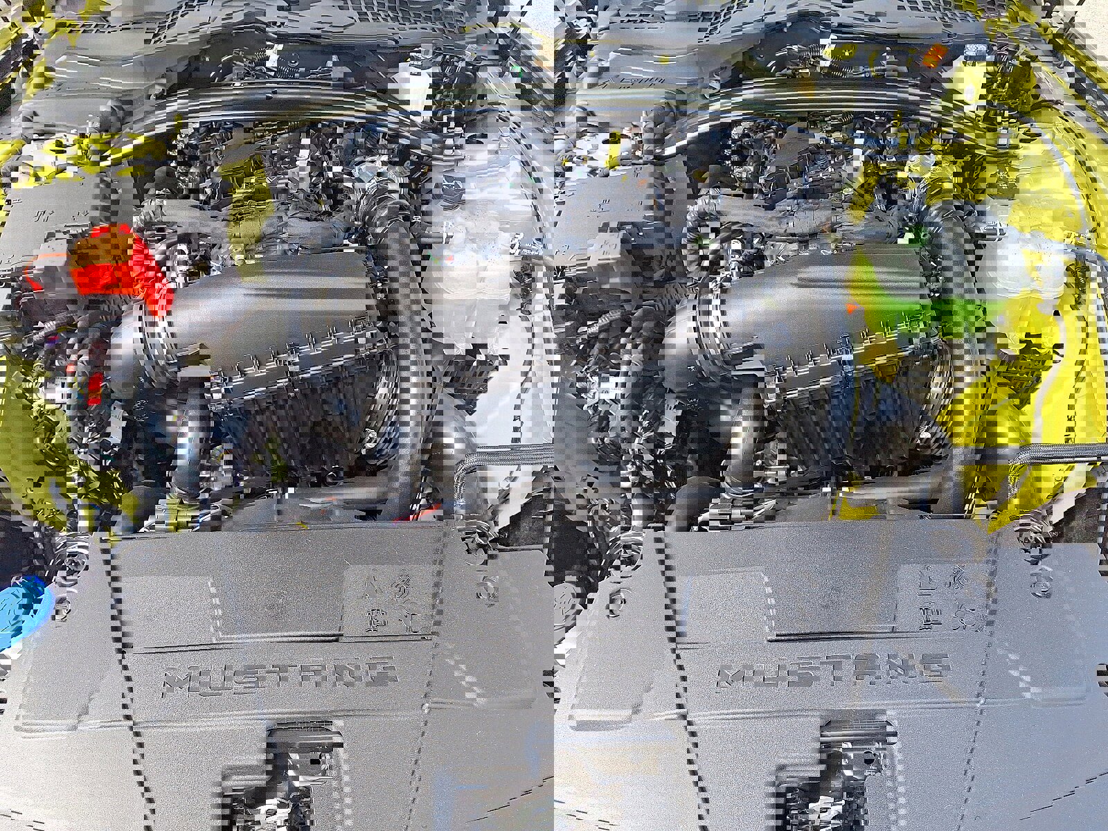 New 2025 Ford Mustang Premium w/ Mustang Nite Pony Package image 26