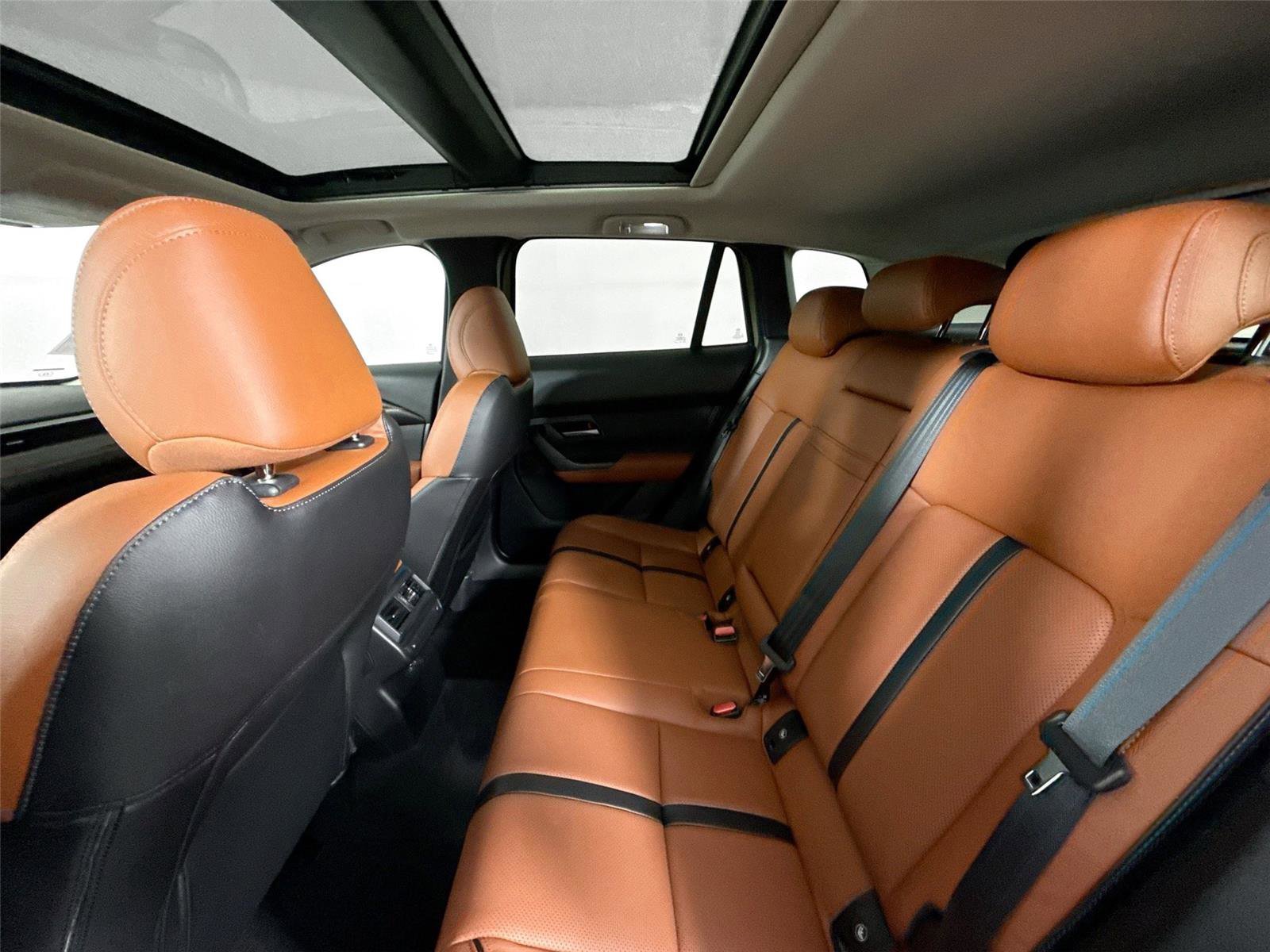 Used 2026 MAZDA CX-50 Meridian Edition w/ Apex Package image 34