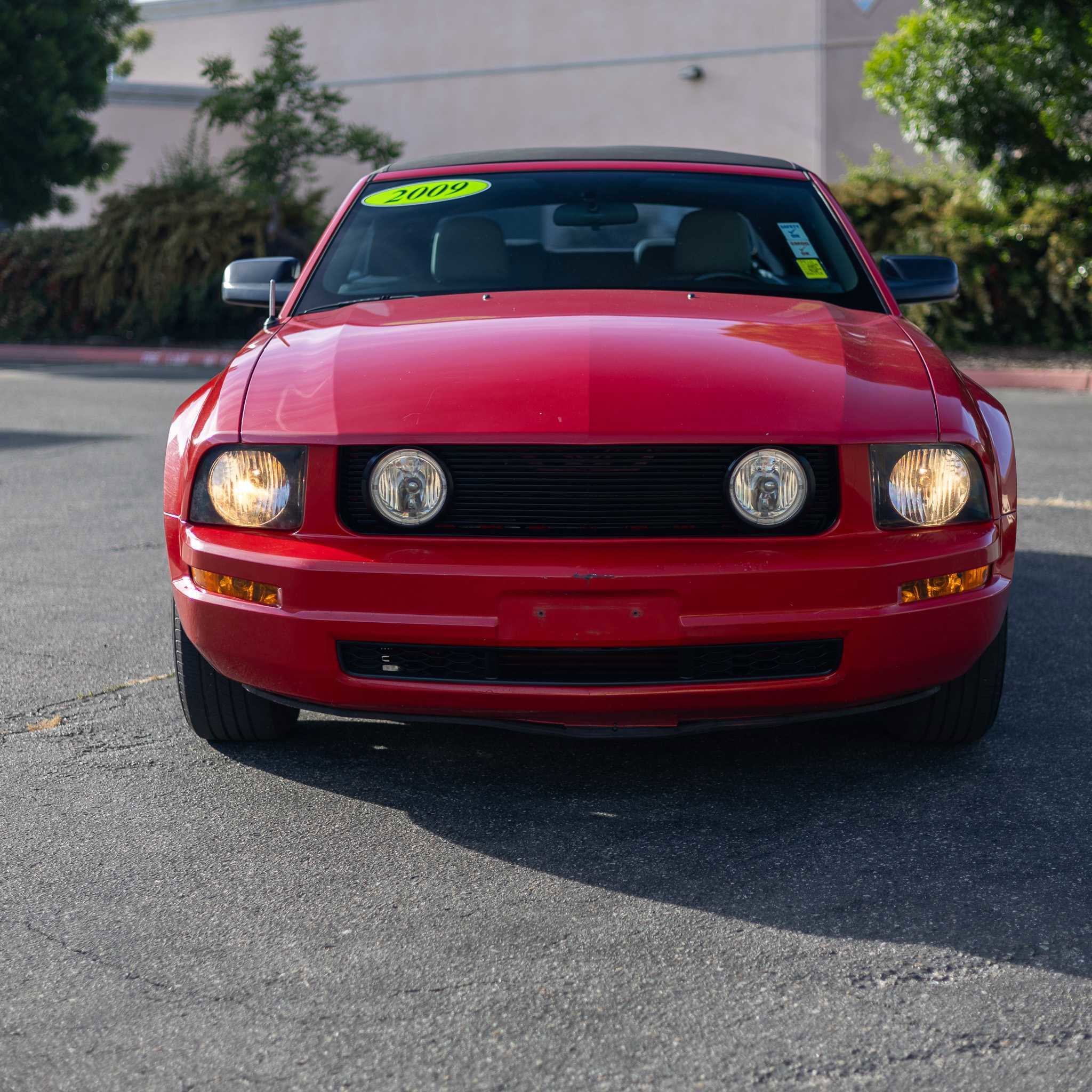 Used 2009 Ford Mustang Premium image 2