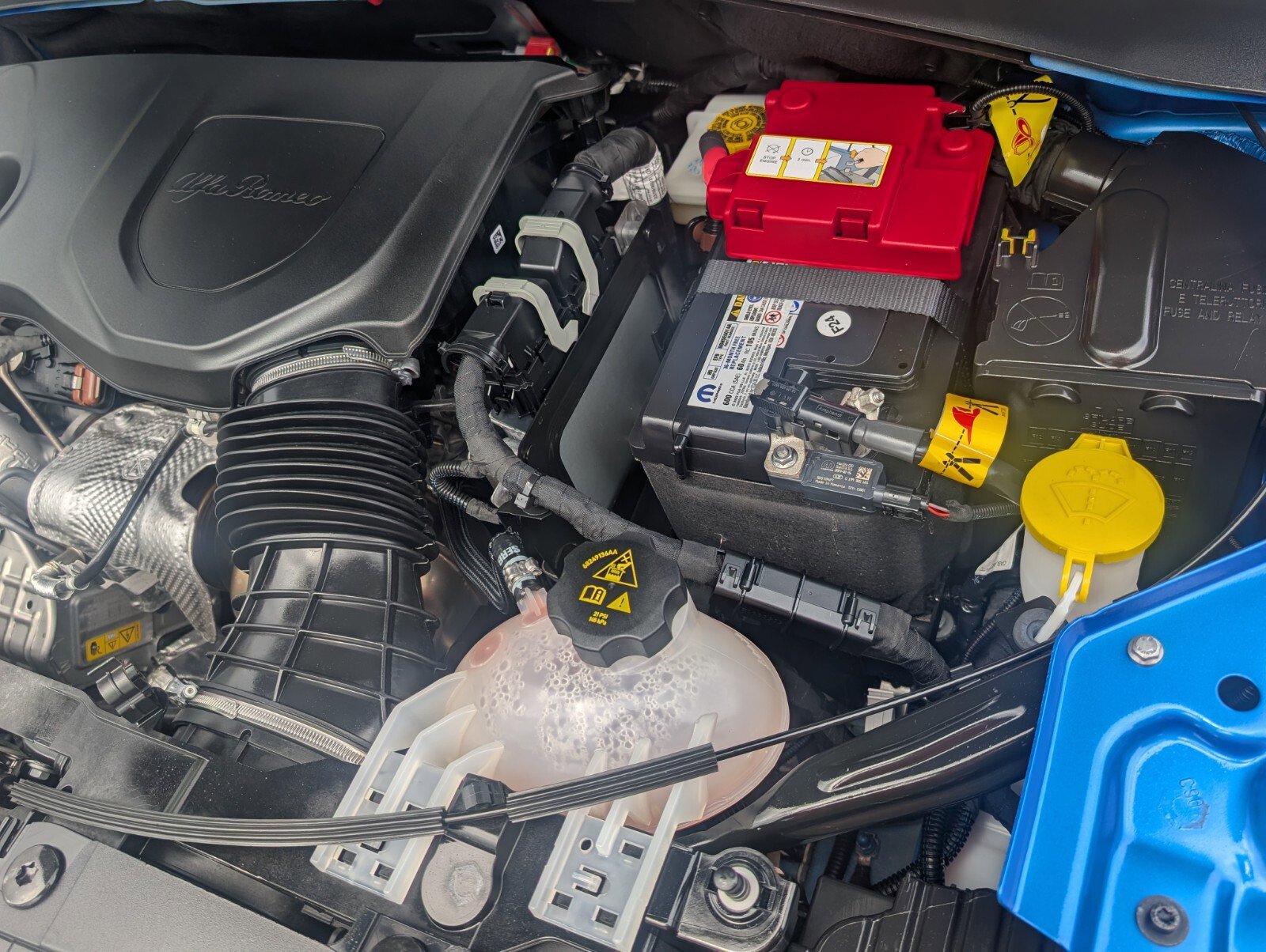 Used 2024 Alfa Romeo Tonale Ti image 19