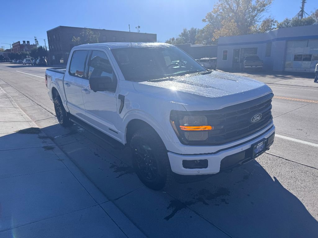 New 2025 Ford F150 XLT image 3