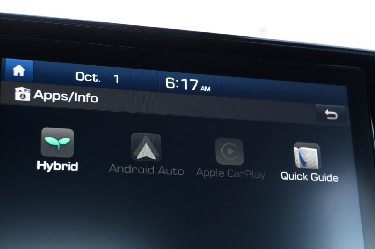 Used 2020 Hyundai Ioniq Blue FWD image 31