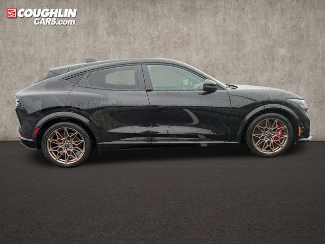 New 2025 Ford Mustang Mach-E GT w/ Bronze Appearance Package AWD/4WD image 11