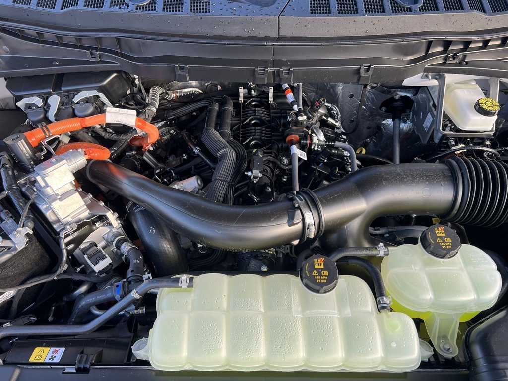 New 2025 Ford F150 Platinum w/ Equipment Group 702A High image 31