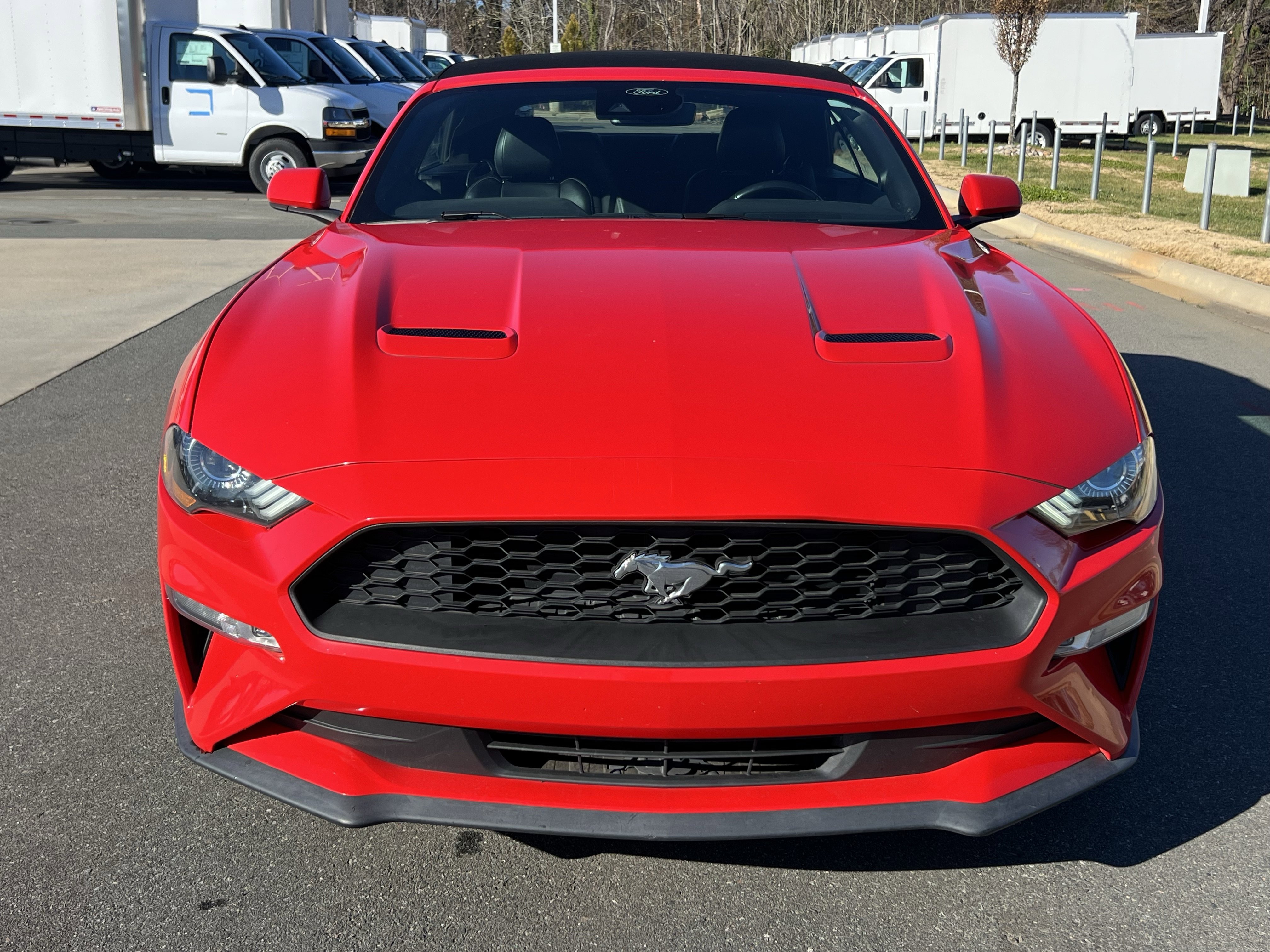 Used 2021 Ford Mustang Premium image 4