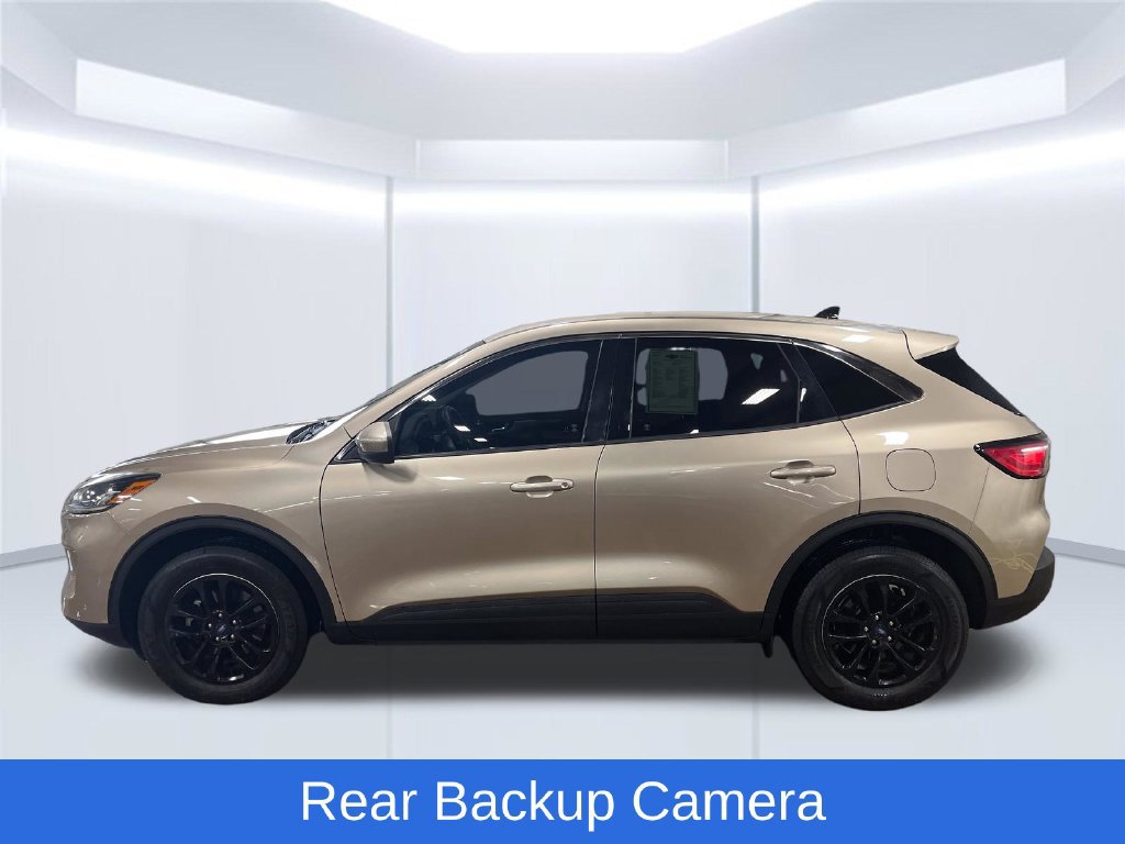 Used 2020 Ford Escape SE AWD/4WD image 5
