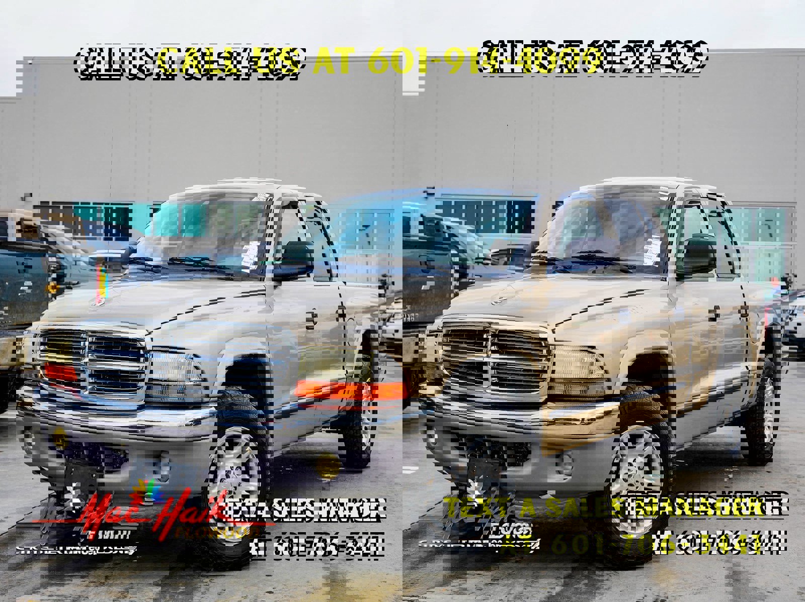 Used 2003 Dodge Dakota SLT image 1