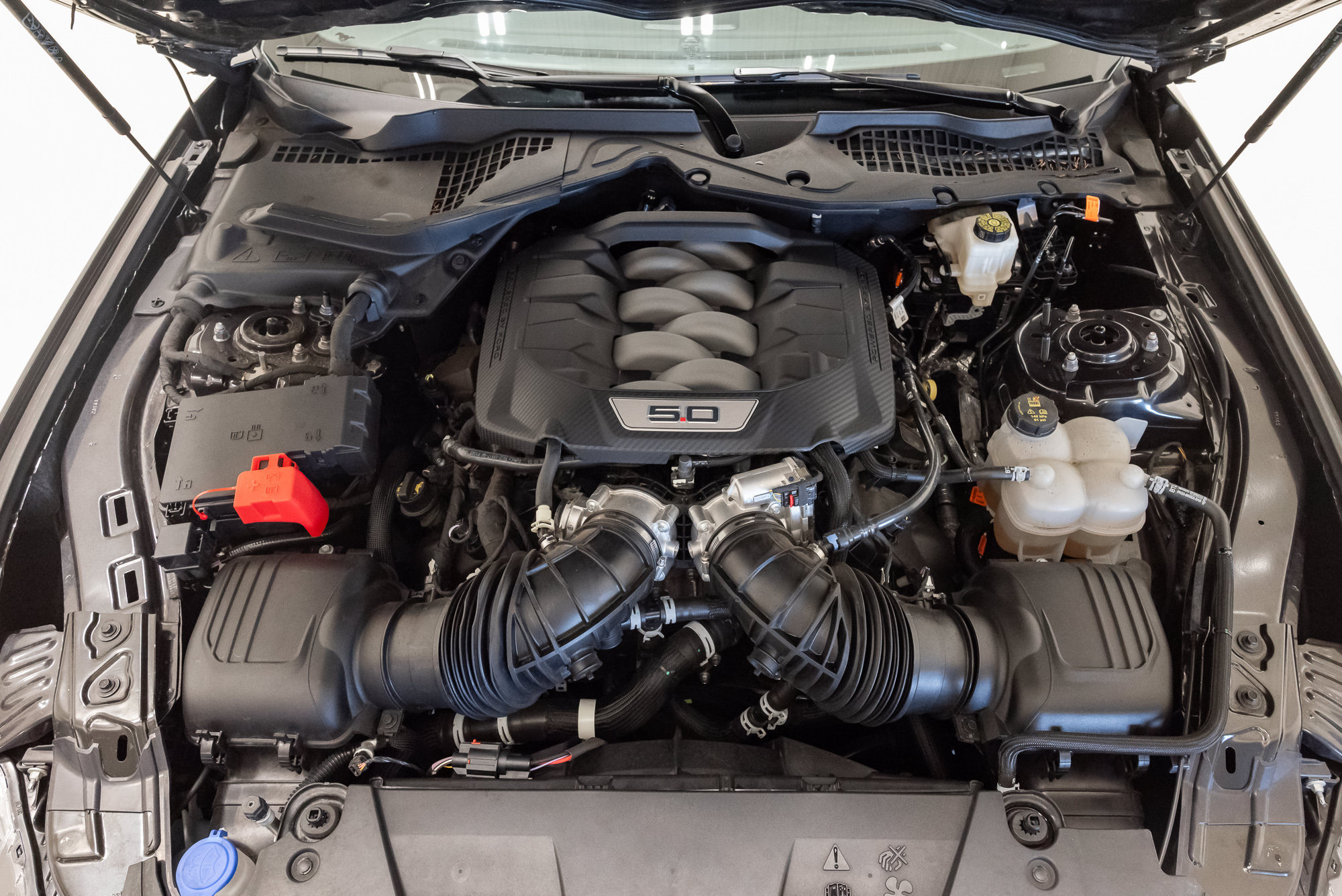 Used 2024 Ford Mustang GT Premium RWD image 3