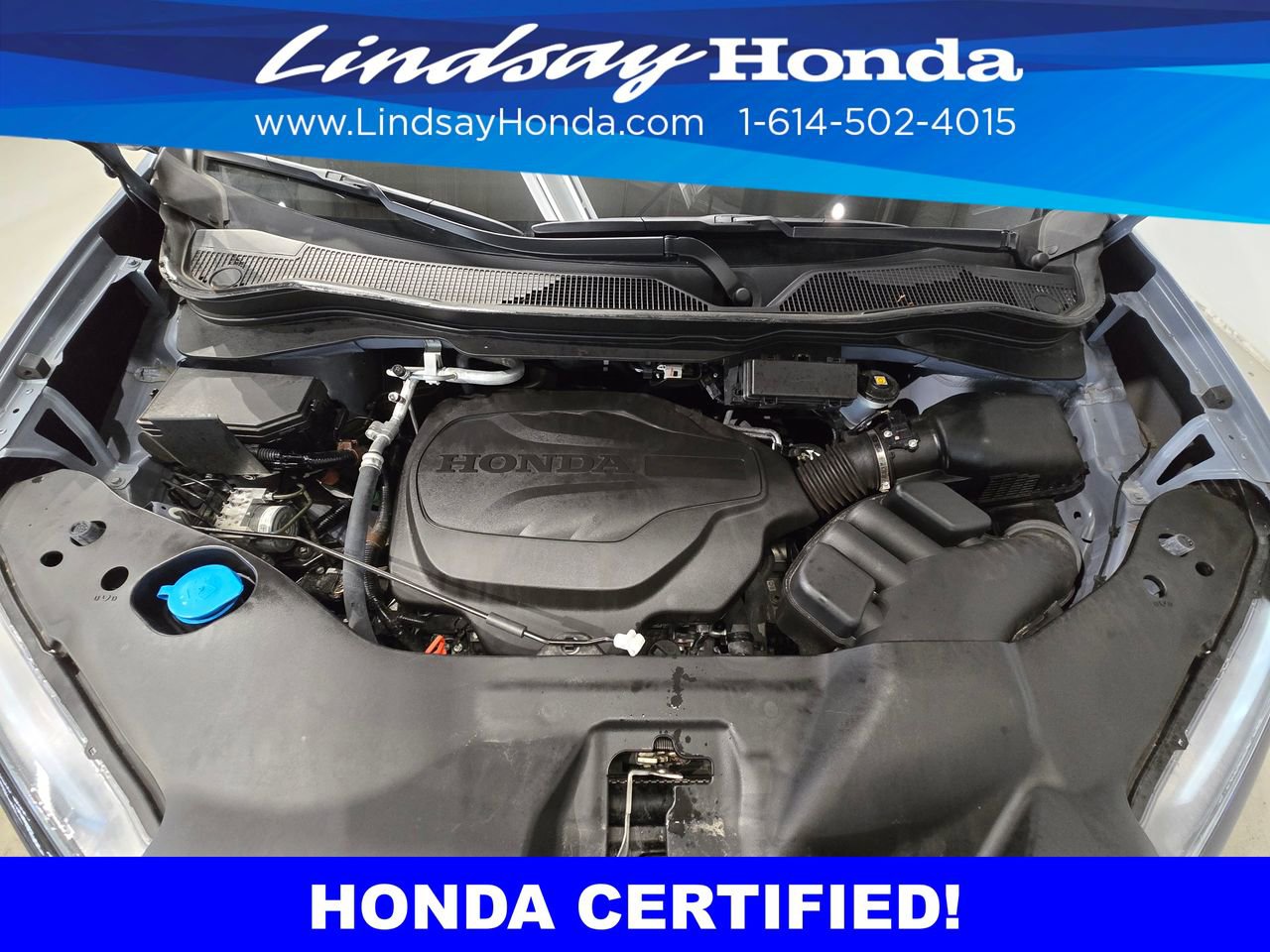 Certified 2024 Honda Passport Black Edition image 25