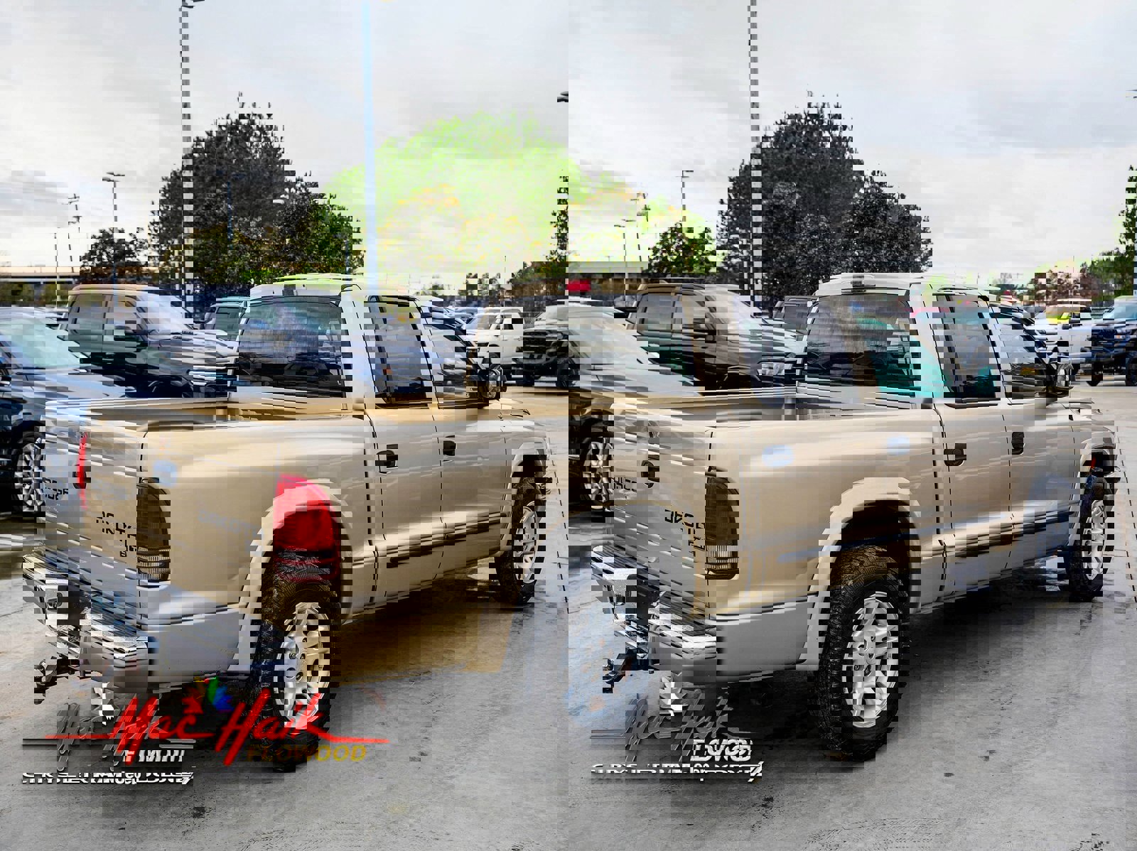 Used 2003 Dodge Dakota SLT image 9