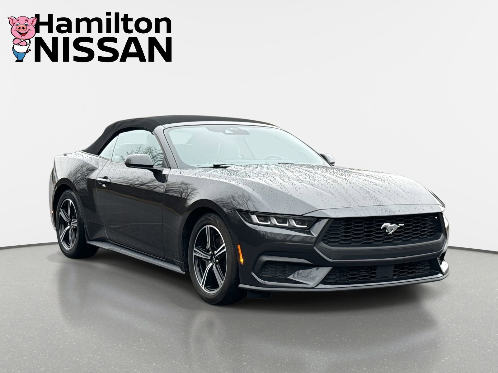 Used 2024 Ford Mustang Premium image 1