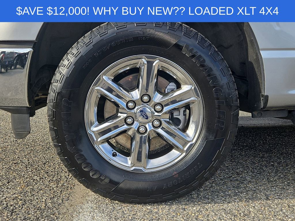 Used 2025 Ford F150 XLT w/ Equipment Group 301A Standard AWD/4WD image 8