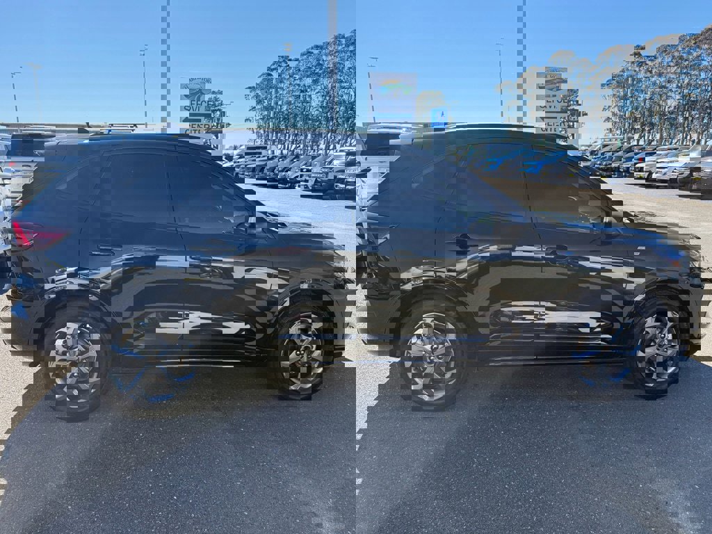 Used 2024 Ford Escape ST-Line w/ Cold Weather Package image 4