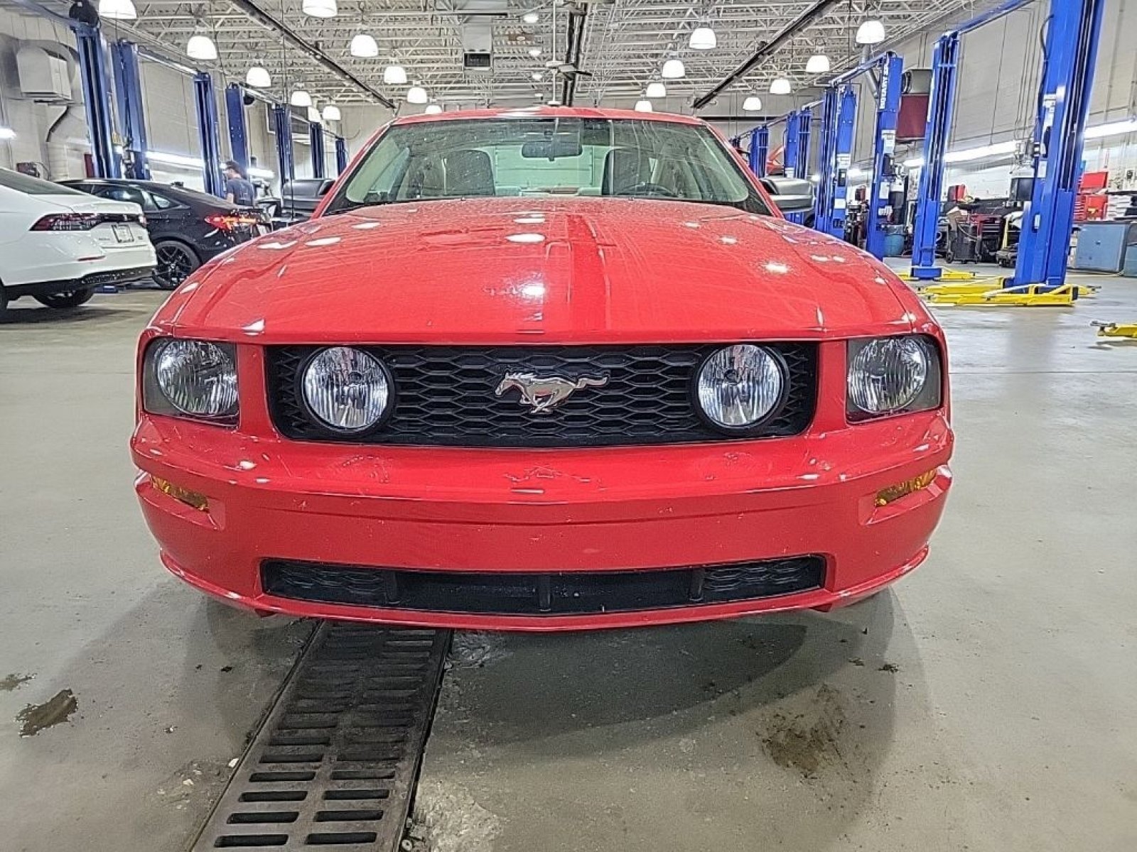 Used 2005 Ford Mustang GT image 3