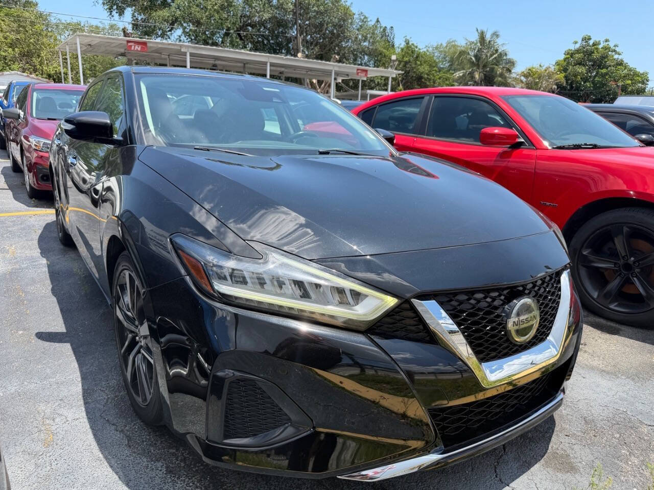 Used 2020 Nissan Maxima 3.5 SL w/ Floor Mat Group FWD image 6