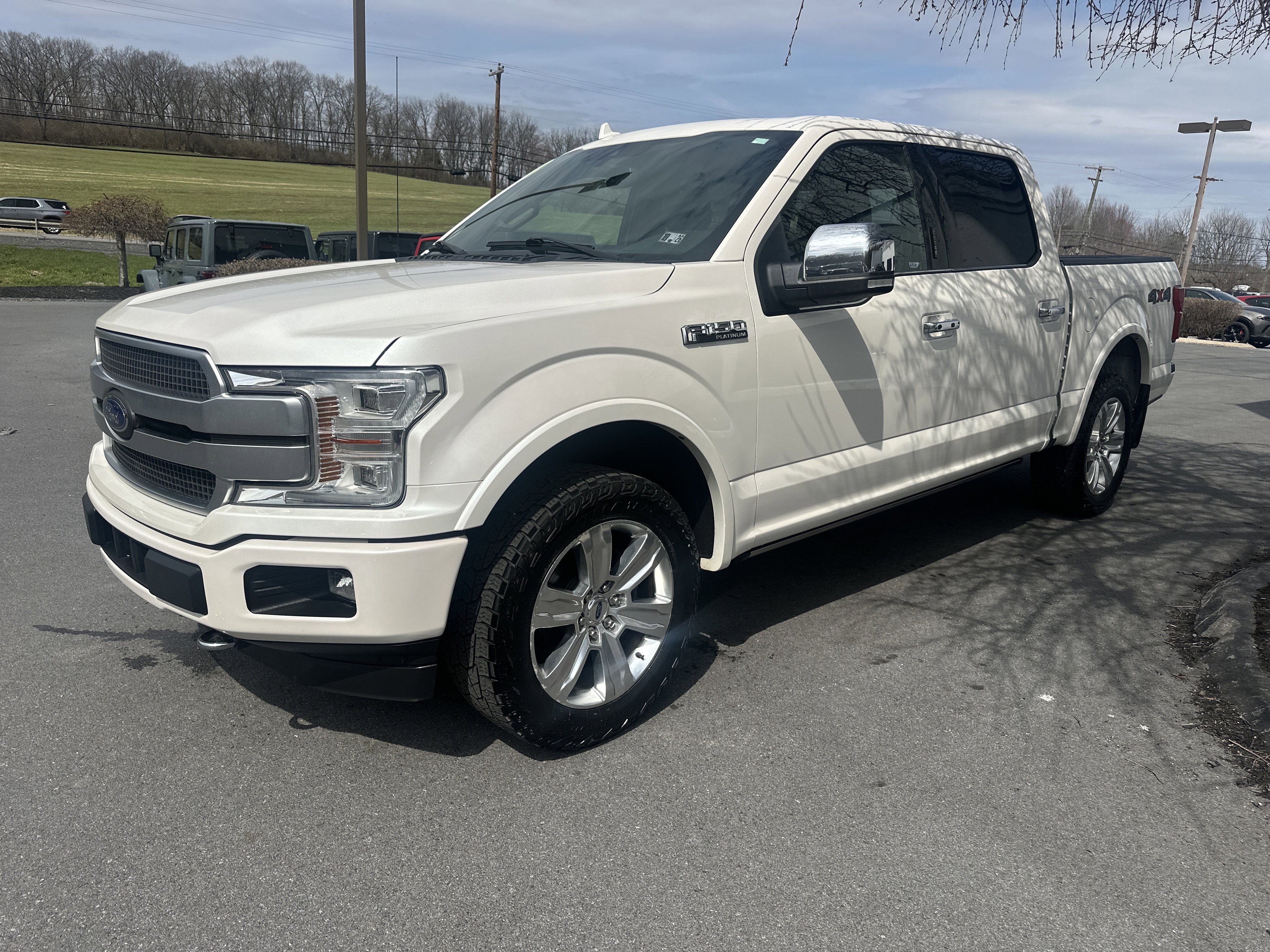 Used 2019 Ford F150 Platinum image 9