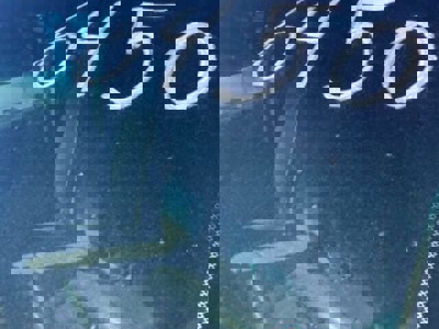 Used 2012 RAM 2500 ST w/ Chrome Appearance Group image 4