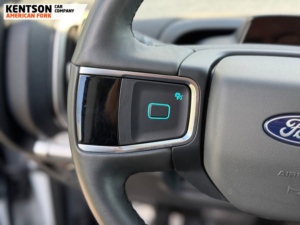 Used 2025 Ford Expedition Active AWD/4WD image 19