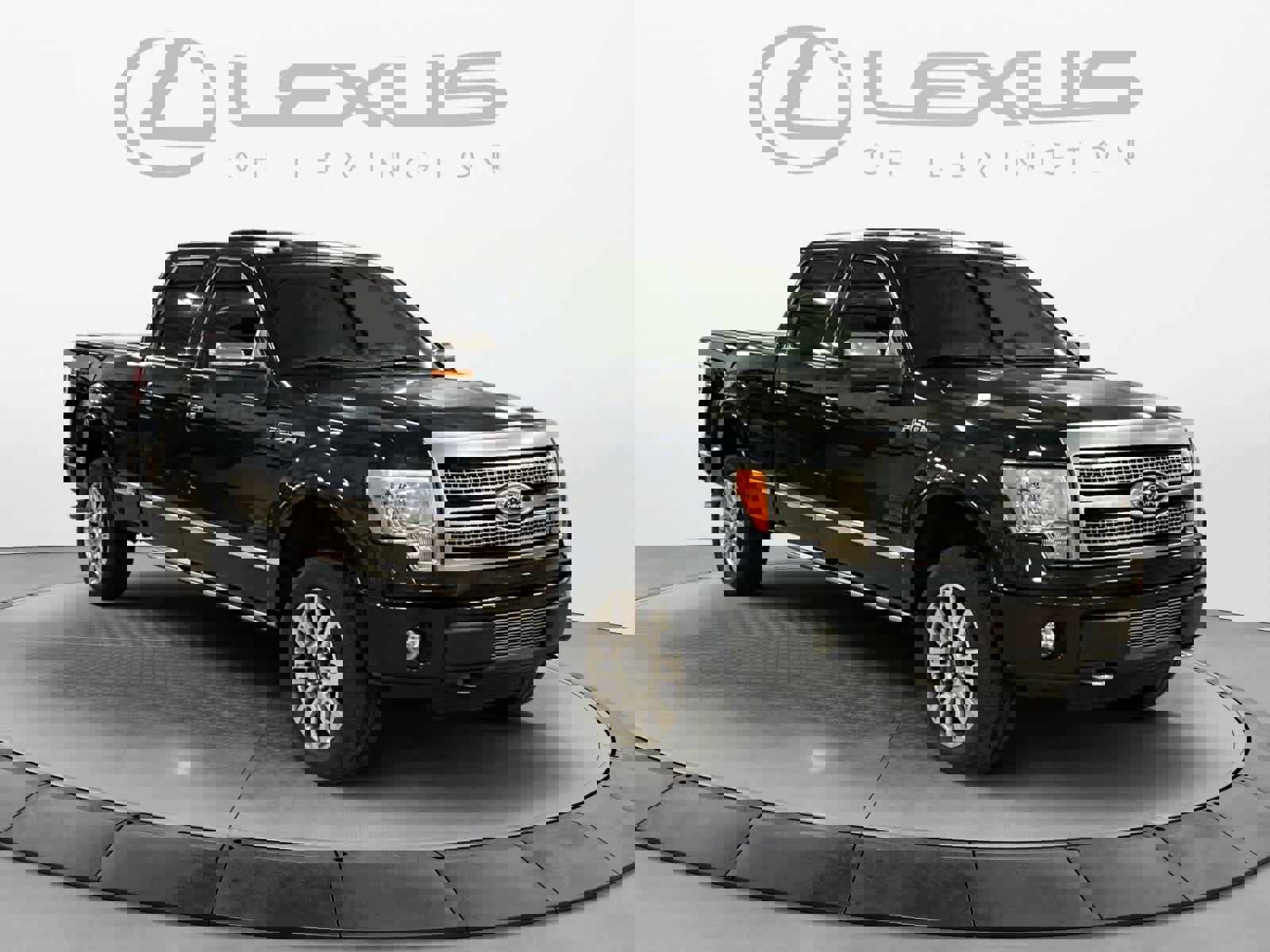 Used 2010 Ford F150 Platinum image 7