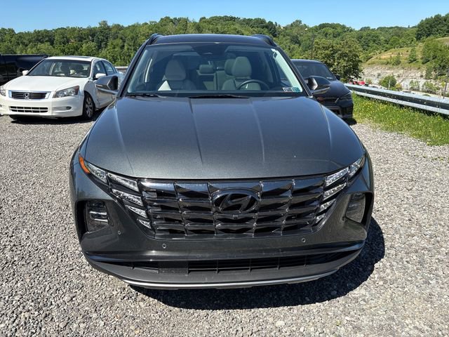 Used 2023 Hyundai Tucson Limited AWD/4WD image 8