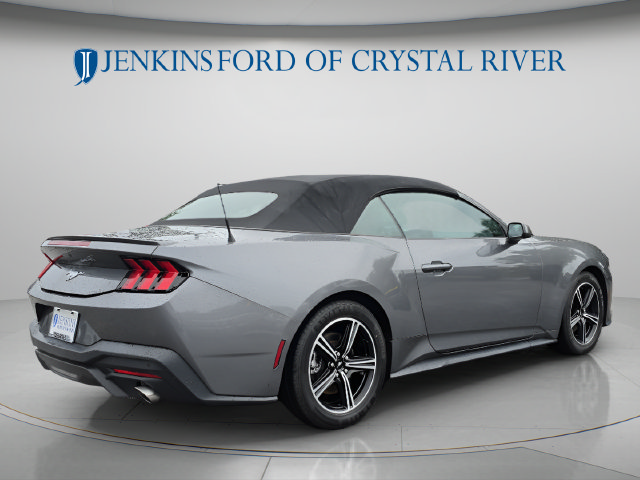 Used 2024 Ford Mustang Premium RWD image 5